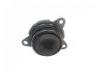 Engine Mount:C00019915