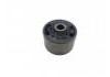 悬架衬套 Suspension Bushing:431511247C/ R-02-VW-0061