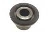 悬架衬套 Suspension Bushing:AV615A103AB