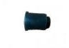 悬架衬套 Suspension Bushing:31277952