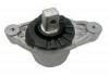 Engine Mount:670004871