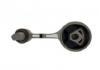Engine Mount:670004869
