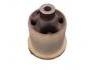悬架衬套 Suspension Bushing:55045-1HM0A