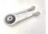 Engine Mount:1001320XKR02A