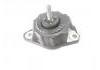 Engine Mount:1001200XP6PXA/10