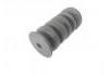 Engine Mount:5001100XKV08A