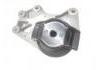 Engine Mount:1001110XKZ93A