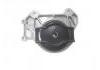Engine Mount:1001110XKZ3FA
