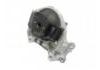 Engine Mount:1001110XKY96A