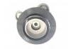 Strut Mount:R-03-FI-0043