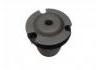 Suspension Bushing:519400088