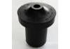 悬架衬套 Suspension Bushing:QLBVW1061