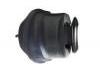 Engine Mount:5494193