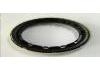 Strut Mount:9049302